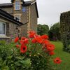 Hotel Bronwye Guest House