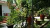 Hotel Red House Homestay