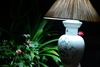 Bed & Breakfast Viet House Homestay