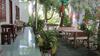 Hotel Duc Thao Guest House