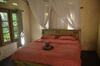 Hotel Tepi Sawah Lodge