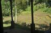 Hotel Tepi Sawah Lodge