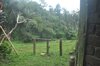 Hotel Tepi Sawah Lodge