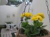 Nature Paradise B&B