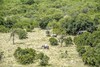 Posada Mutara Camp