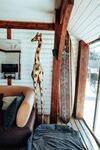Hostal Surf Lodge South Africa - Hostel
