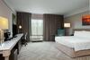 Hotel Hilton Garden Inn Mobile Downtown