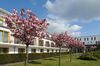 Hotel Vier Jahreszeiten Zingst