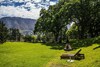 High Season Farm