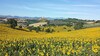 Bed & Breakfast Casavostra - Ambience Suites