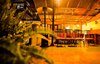 Gringo Bill's Boutique Hotel