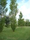 Lodge Caba�as Los Girasoles