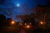 Wilpattu Safari Camp - Campground