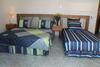 Hostal Phong Nha Gecko Hostel