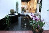Hotel The Rommanee Boutique Guesthouse