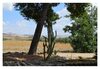 B&B Stazione Dittaino
