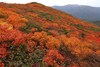 Hotel Appi Hills Shirakaba No Mori
