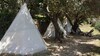 Shiva Camp