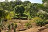 Bed & Breakfast Zimbali Culinary Retreat