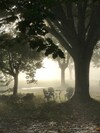 Bed & Breakfast Domaine De Lascaux - Chambres D'h�te