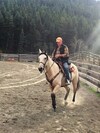 Bed & Breakfast Montana Hill Guest Ranch