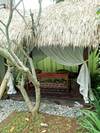 Hotel Green Bird Villa