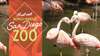 Hotel Kings Inn San Diego - Seaworld - Zoo
