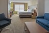 Hotel Holiday Inn Express & Suites Belleville