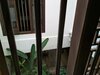 Hotel Wayfarer Guest House