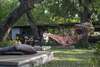 Hotel Himmapan Resort