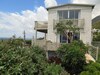 The Flying Penguin - In Cape Town (cape Peninsula)