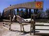 Bed & Breakfast Casato Calabrese
