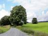 Apartamento Sauerland Appartementen