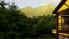 Bed & Breakfast Peach Villa