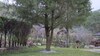 Bed & Breakfast Peach Villa