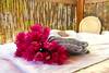 Apartamento Sorobon Beach Resort & Wellness