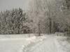 Hostal Pension Haus Irmgard