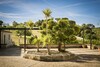 Villa Residence By G Son Rebassa