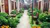 Hotel Son Vinh Guesthouse