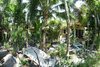 Villa Sanuk Bungalows