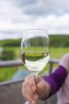 Hostal Landhotel Sch�ll