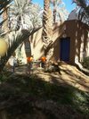 Hotel Riad Tagmadart Ferme D'h�te