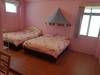 Bed & Breakfast Hostel Green520