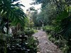 Hotel Pepper Tree Bnb