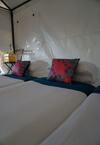 Hotel Singha Park Chiang Rai Camping