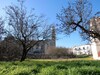 B&B Villa Lavanda
