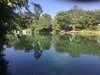 Hotel Harry Guest House & Restaurant