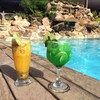 Hotel Siriema Village Eco Resort