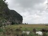 Hotel Tam Coc Homestay