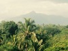 Hotel Mount River View